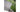Lucia 4 Seater Rattan Effect Sofa Set Generic