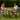 Adrano 4-Seater Reclining Garden Dining Set – 90cm Poliwood Table & Chairs